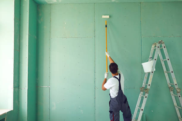 Best Emergency Mold Remediation  in Snyder, OK