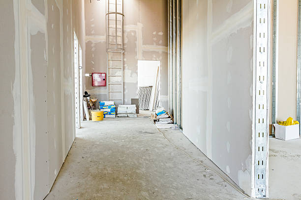 Best Mold-Related Health Consultation  in Snyder, OK